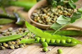 تصویر 3 از فروش ویژه کنسرو نخود فرنگی 420 گرمی + قیمت به صرفه و ارزان